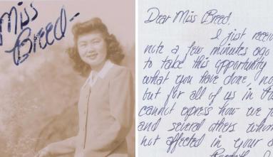 Clara Breed Collection